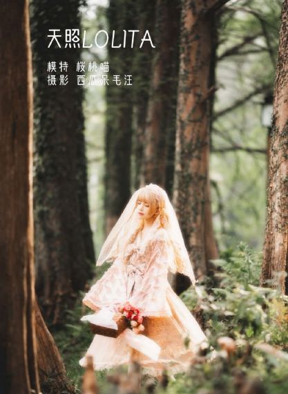 布拉芙夫人在线_国产剧在线视频观看